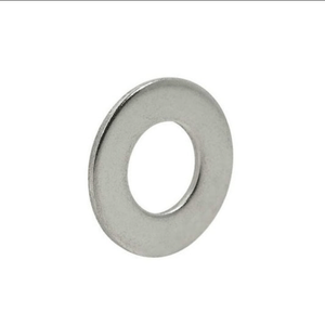 Porca Par&Pregos Sextavada Com Arruela Lisa 5/16' Inox 4 Unidades