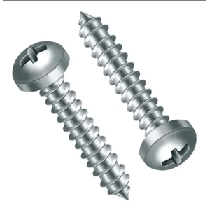 Parafuso Par&Pregos Cabeça Panela 4,8 x 50 mm Zincado 20 Unidades