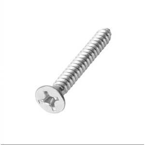 Parafuso Par&Pregos Cabeça Chata Auto Atarraxante 3,9 x 32 mm Inox 10 Unidades