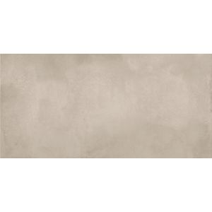 Porcelanato Elizabeth Tala Seca Acetinado Classe A - Retificado 50 x 101 Cm 2,01 m²