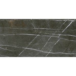 Porcelanato Delta Venato Notte Polido Classe A - Retificado 53 x 106 Cm 2,23 m²