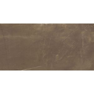 Porcelanato Eliane Pulpis Brown Polido Classe A - Retificado 60 x 120 Cm 1,44 m²