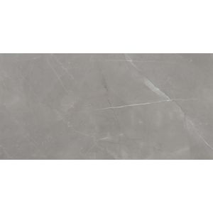 Porcelanato Eliane Pulpis Gray Polido Classe A - Retificado 60 x 120 Cm 1,44 m²
