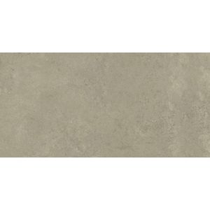 Revestimento Angelgres Elemento 5 Acetinado Classe A - Retificado 36 x 73 Cm 2,10 m²