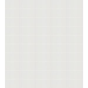 Azulejo Eliane Forma Branco Acetinado Classe A 33,5 x 60 Cm 2,41 m²