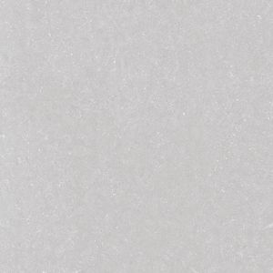 Porcelanato Delta Fossili Argenta Polido Classe A - Retificado 120 x 120 Cm 2,88 m²