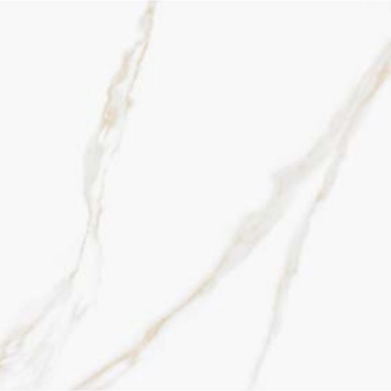Porcelanato Decore DP61401 Carrara Níquel Lux Polido Classe A - Retificado 61,8 x 61,8 Cm 2,67 m²