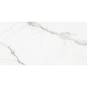 Piso Angelgres Calacata Lux Polido Classe A - Retificado 58 x 120 Cm 2,09 m²