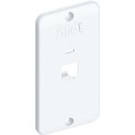 Tampa Inpol Branca 1 RJ45 3/4'